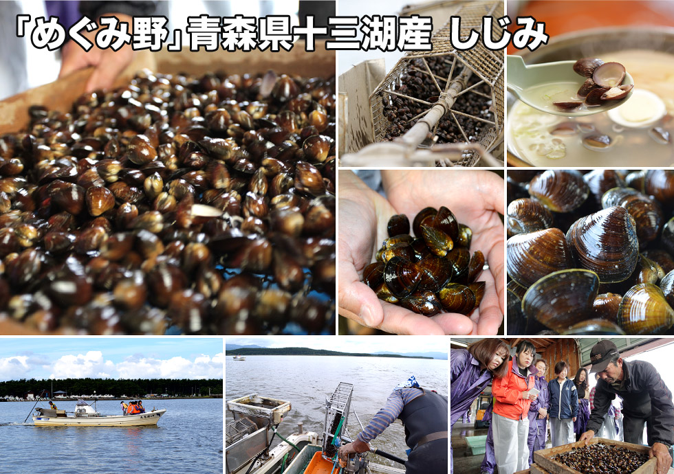 「めぐみ野」青森県十三湖産 しじみ