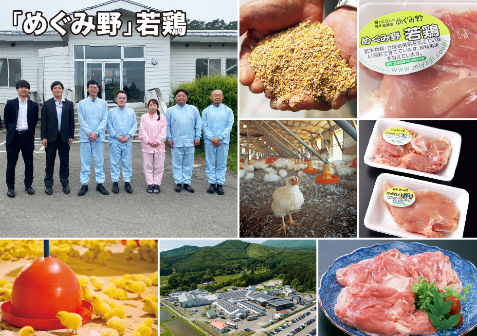 「めぐみ野」若鶏