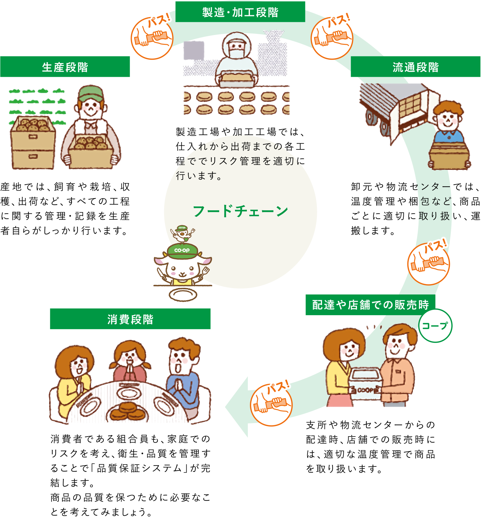 【生産段階】
              産地では、飼育や栽培、収穫、出荷など、すべての工程に関する管理・記録を生産者自らがしっかり行います。
　↓
【製造・加工段階】
製造工場や加工工場では、仕入れから出荷までの各工程ででリスク管理を適切に行います。
　↓
【流通段階】
卸元や物流センターでは、温度管理や梱包など、商品ごとに適切に取り扱い、運搬します。
　↓
【配達や店舗での販売時】
支所や物流センターからの配達時、店舗での販売時には、適切な温度管理で商品を取り扱います。
　↓
【消費段階】
消費者である組合員も、家庭でのリスクを考え、衛生・品質を管理することで「品質保証システム」が完結します。商品の品質を保つために必要なことを考えてみましょう。